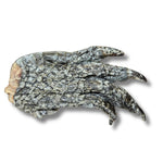 The Dog House - Gourmet Dog Treats : Premium Crocodile Feet (Single)