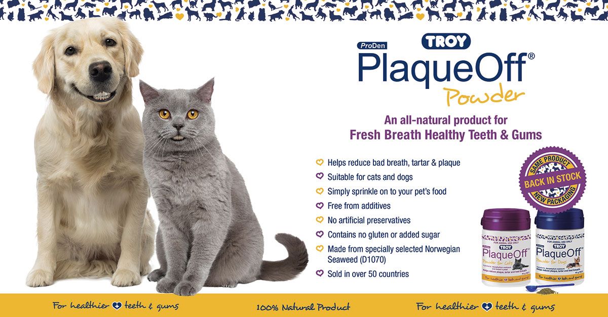 Plaque Off : Dental Powder for Cats *