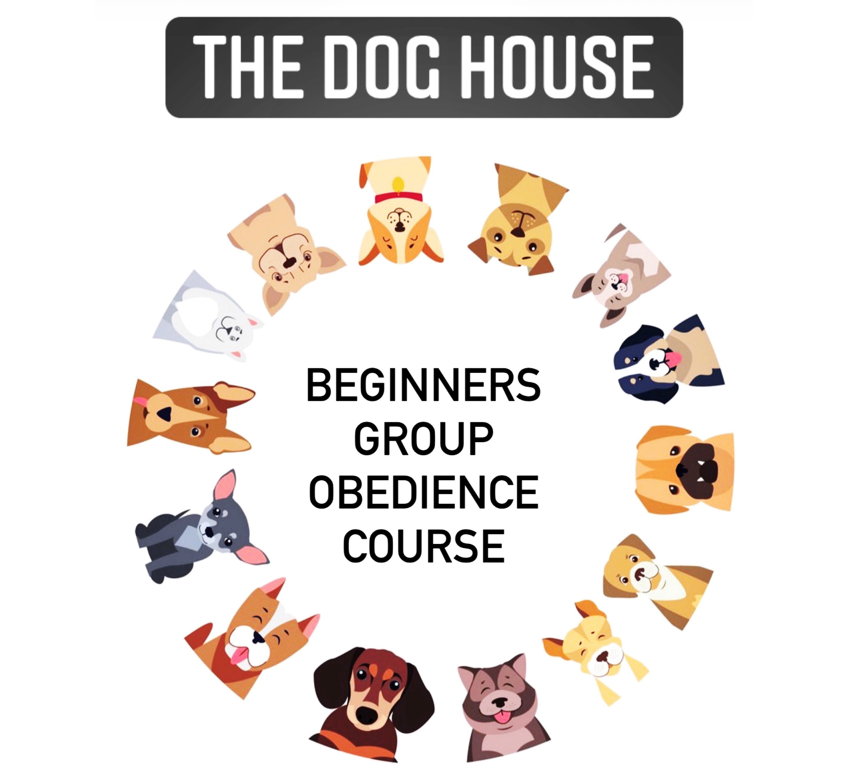 Dog Obedience: Beginners Group Obedience Course