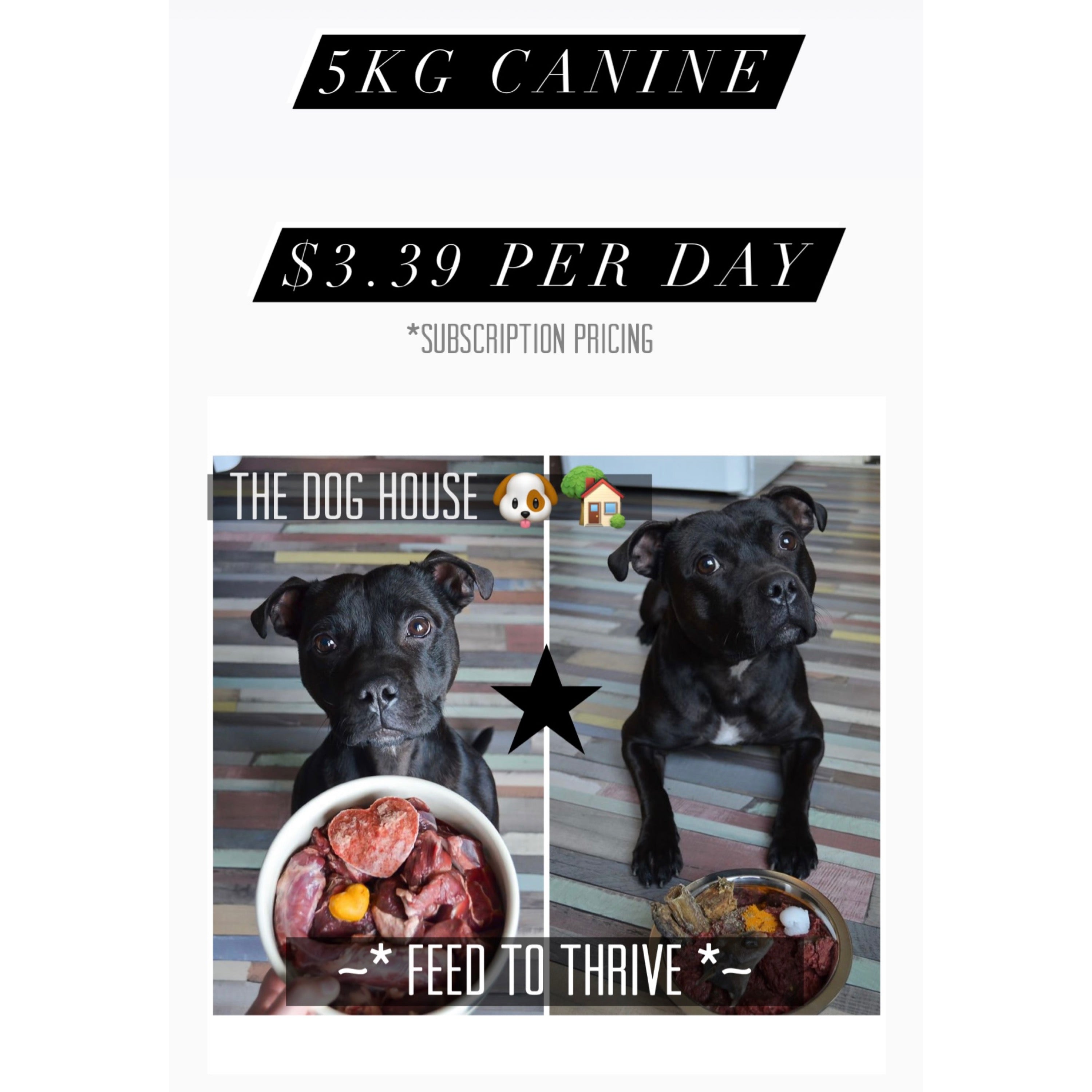 The Dog House Premium Monthly Raw Feeding Package (5kg Canine)