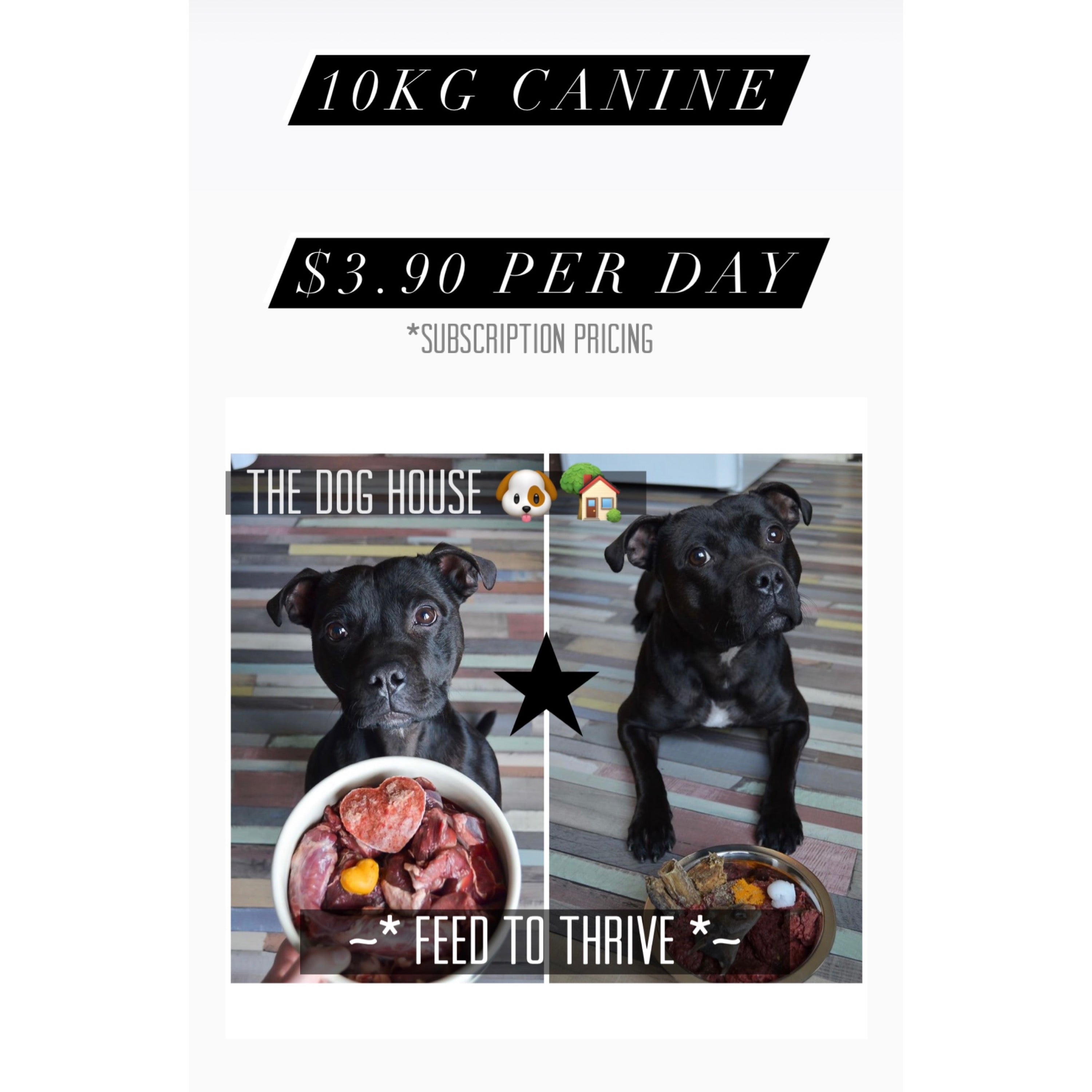 The Dog House Premium Monthly Raw Feeding Package (10kg Canine)