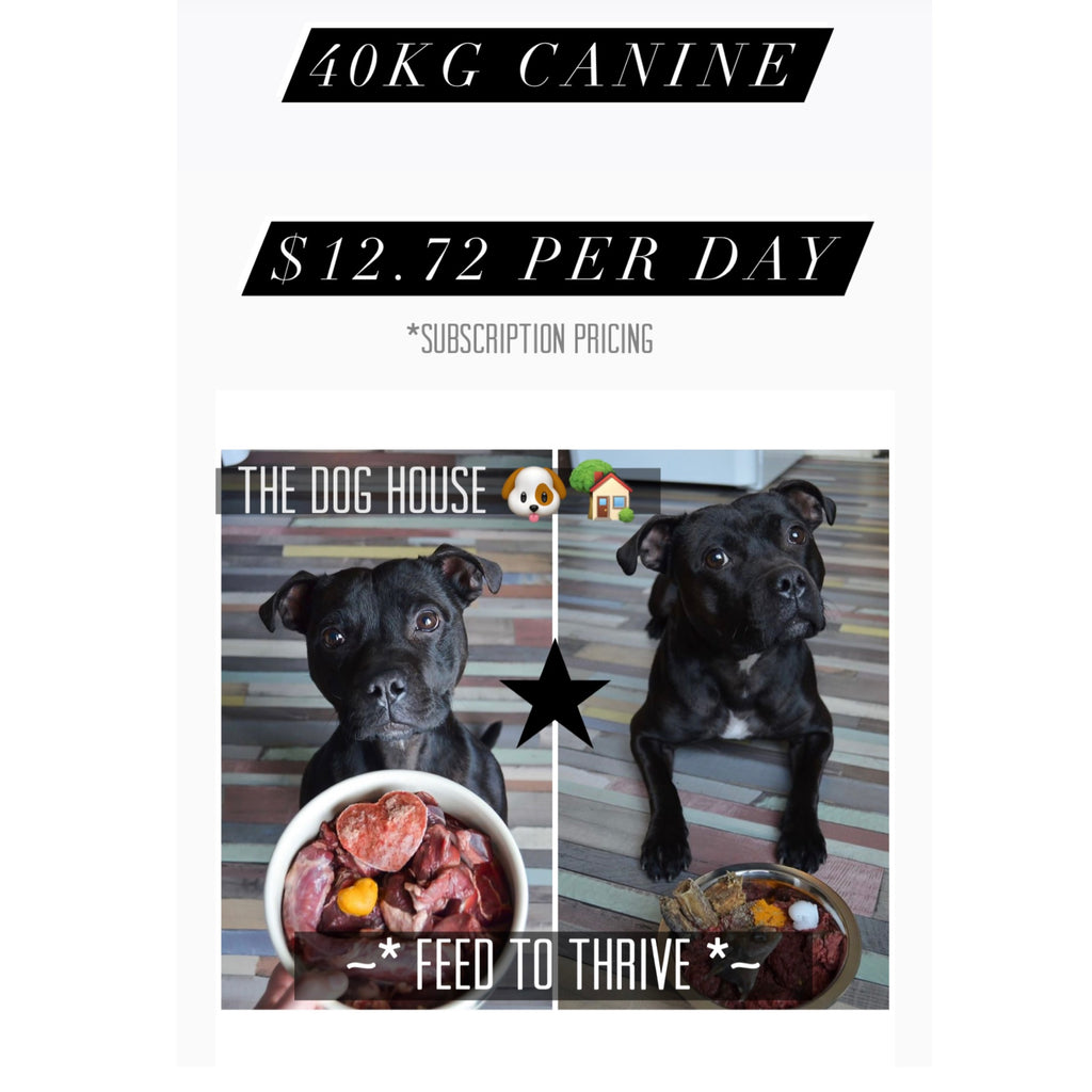 The Dog House Premium Monthly Raw Feeding Package (40kg Canine)